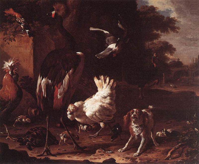 HONDECOETER, Melchior d Birds and a Spaniel in a Garden sf china oil painting image